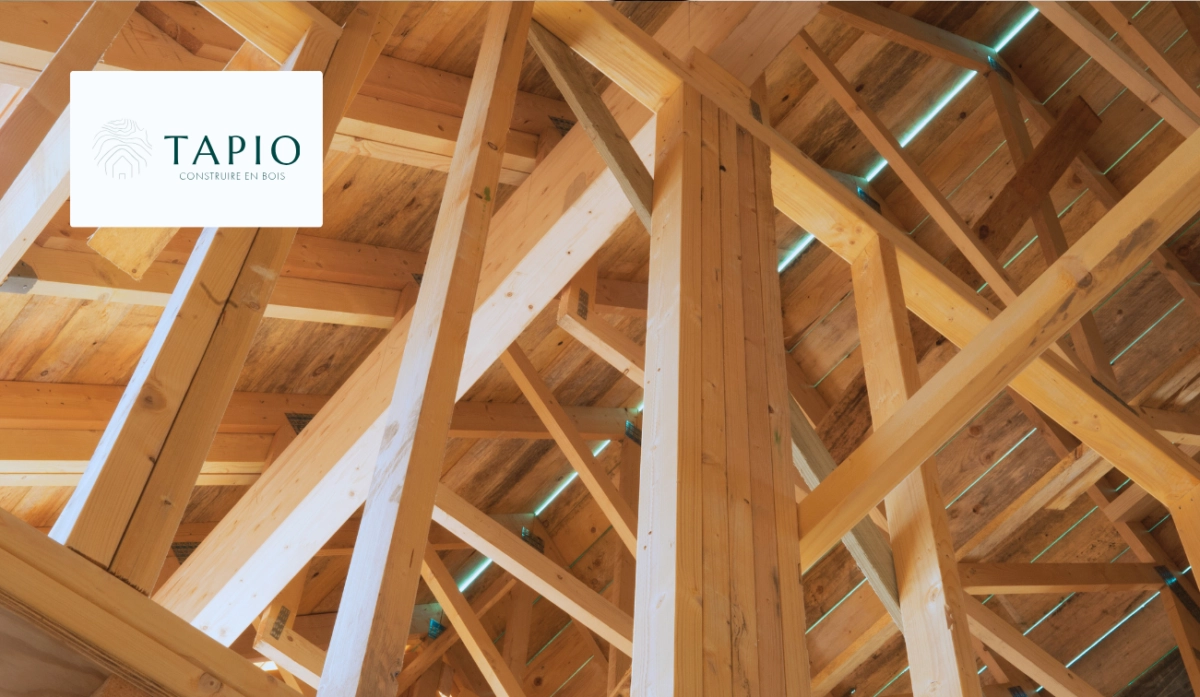 3a7e3a7f-ee94-438d-b1bb-3fc6986d7254-cas-client-tapio